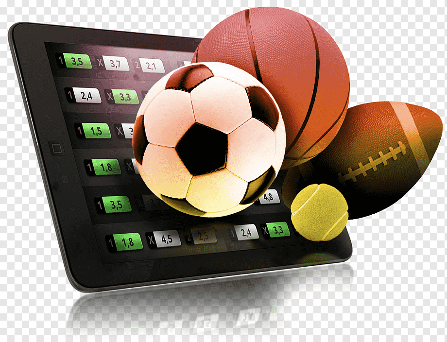 Discover Trusted Gambling Forums and Reviews 25 Discover Trusted Gambling Forums and Reviews 25